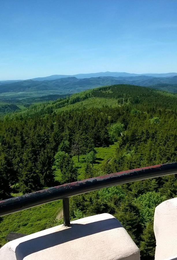 Minisowa Lägenhet Jedlina-Zdroj Exteriör bild