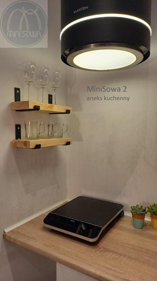 Minisowa Lägenhet Jedlina-Zdroj Exteriör bild