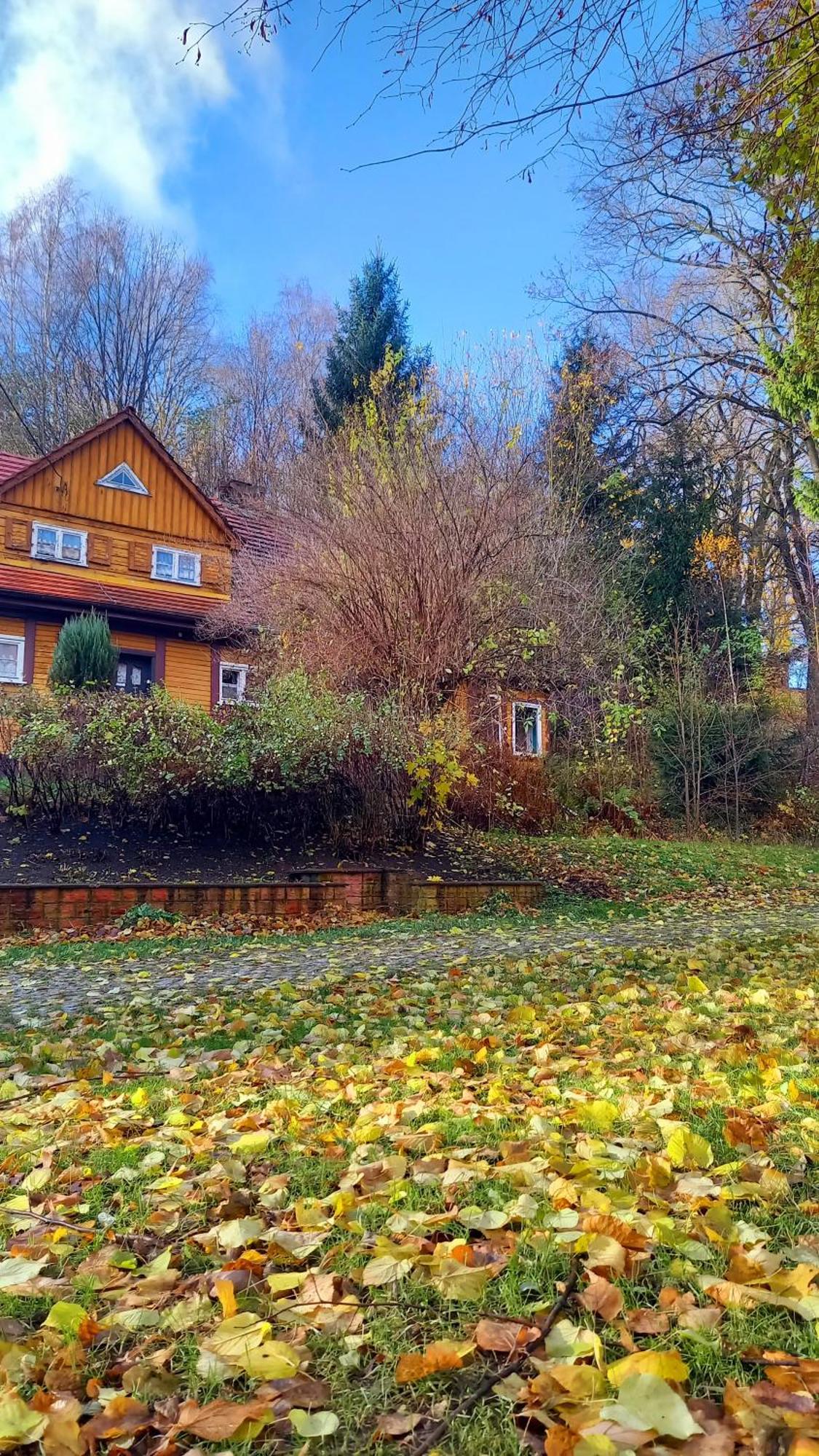 Minisowa Lägenhet Jedlina-Zdroj Exteriör bild