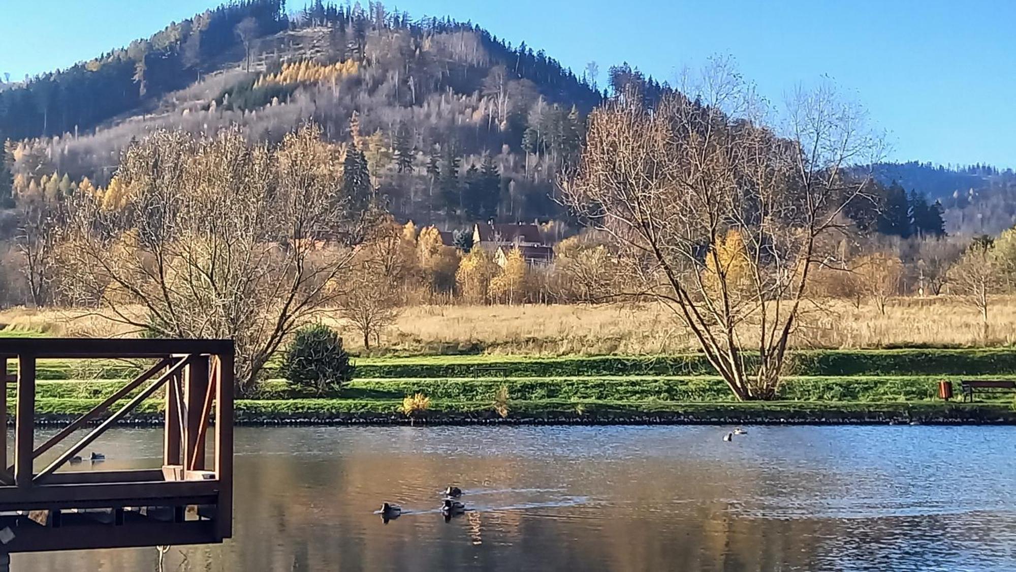 Minisowa Lägenhet Jedlina-Zdroj Exteriör bild
