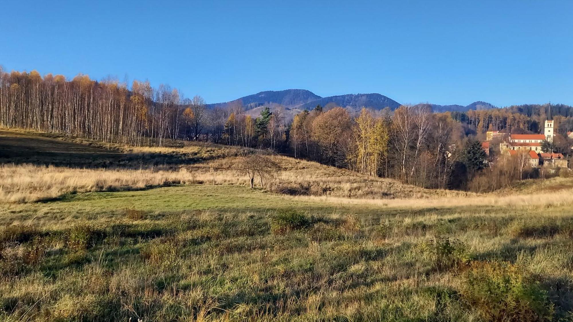 Minisowa Lägenhet Jedlina-Zdroj Exteriör bild